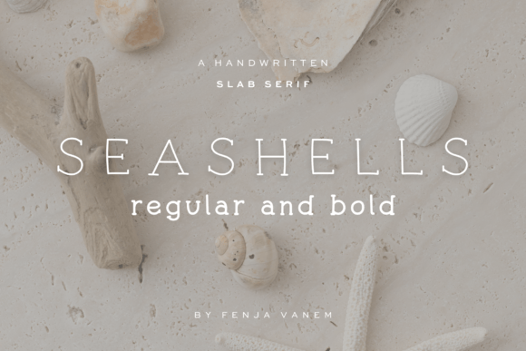 Seashells Font: A Slab Serif That Brings Coastal Whimsy to Brand Design